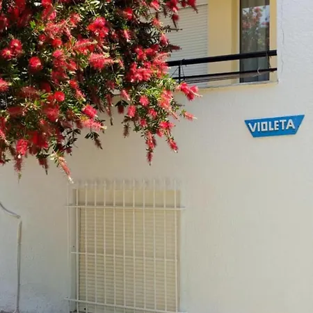Violetta House By The Sea * Szkála Fúrkasz